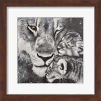 Framed Lioness