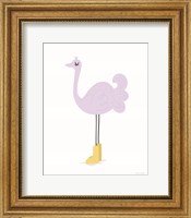 Framed Ostrich