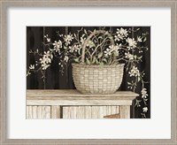 Framed Apple Blossom Beauty II