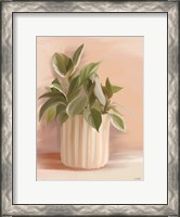 Framed Striped Bohemian Plant I