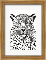 Framed Cheeky Cheetah