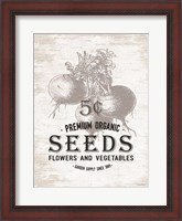 Framed Seeds