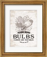 Framed Bulbs