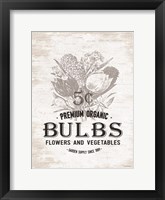 Framed Bulbs