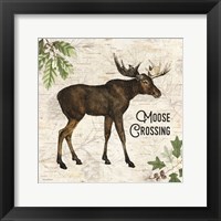 Moose Crossing Framed Print