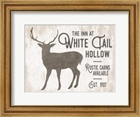 Framed White Tail Hollow