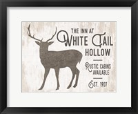 Framed White Tail Hollow