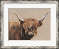 Framed Highland Cow