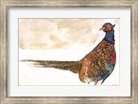 Framed Pheasant 1