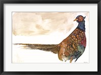 Framed Pheasant 1