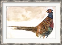 Framed Pheasant 1