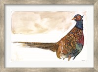 Framed Pheasant 1