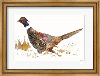 Framed Pheasant 2