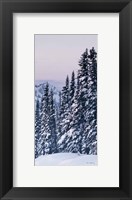 Framed Tatoosh Range Panel III