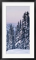 Framed Tatoosh Range Panel III