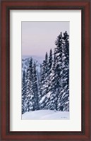 Framed Tatoosh Range Panel III