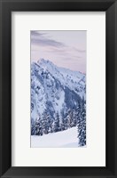 Framed Tatoosh Range Triptych II