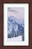 Framed Tatoosh Range Triptych II