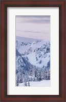 Framed Tatoosh Range Triptych I