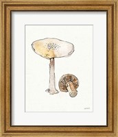 Framed Fresh Farmhouse Mushrooms IV