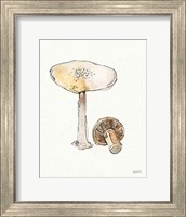 Framed Fresh Farmhouse Mushrooms IV