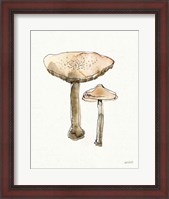 Framed Fresh Farmhouse Mushrooms II