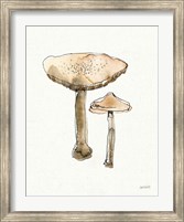 Framed Fresh Farmhouse Mushrooms II