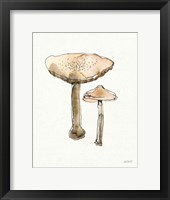 Fresh Farmhouse Mushrooms II Framed Print