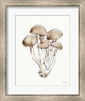 Framed Fresh Farmhouse Mushrooms I