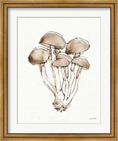 Framed Fresh Farmhouse Mushrooms I