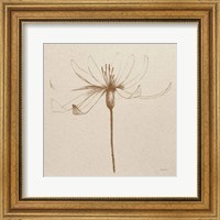 Framed Modern Vintage Floral III