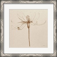 Framed 'Modern Vintage Floral III' border=