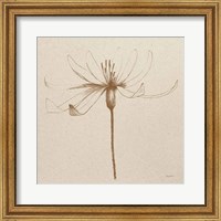 Framed Modern Vintage Floral III