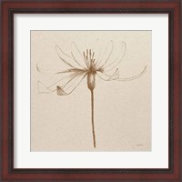 Framed Modern Vintage Floral III