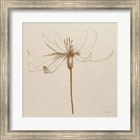 Framed Modern Vintage Floral III