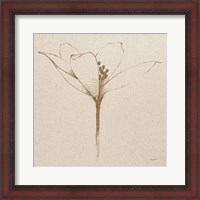 Framed Modern Vintage Floral VI