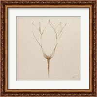 Framed Modern Vintage Floral V