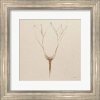 Framed Modern Vintage Floral V