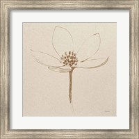 Framed Modern Vintage Floral IV