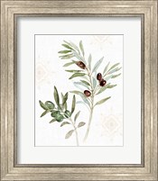 Framed Mediterranean Motif IX