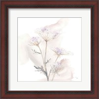 Framed 'Queen Annes Lace VI' border=
