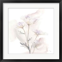 Framed 'Queen Annes Lace VI' border=