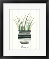 Herb Garden VI Framed Print