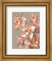 Framed Delicate Orchid II