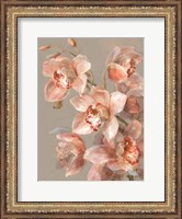 Framed Delicate Orchid II