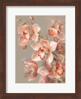 Framed Delicate Orchid II