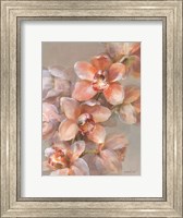 Framed Delicate Orchid I
