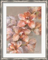 Framed Delicate Orchid I