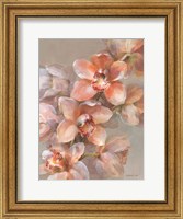 Framed Delicate Orchid I