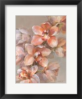 Delicate Orchid I Framed Print